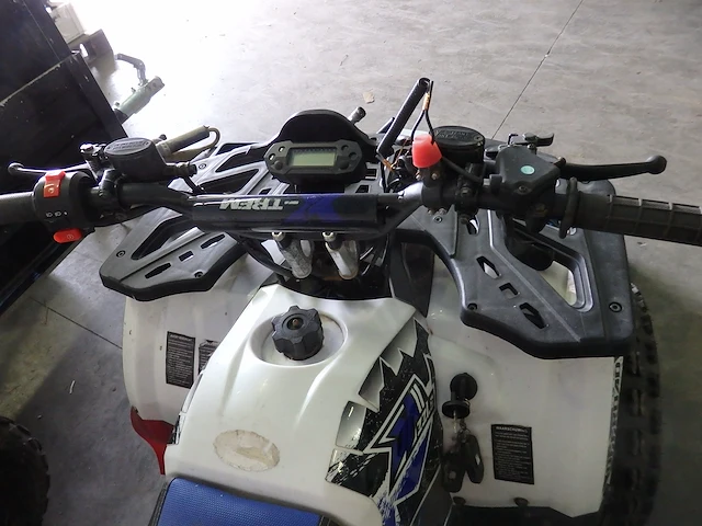 Quad 125 cc - afbeelding 4 van  6