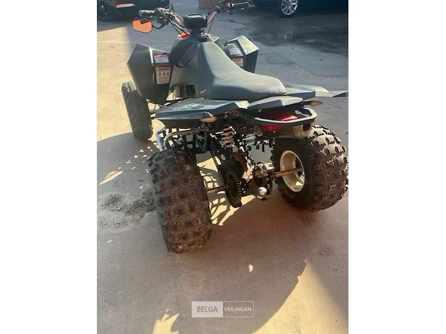 Quad 300cc eaglemotorsport - afbeelding 6 van  8