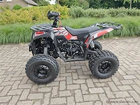 Quad commander 125cc - afbeelding 12 van  23