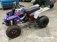 Quad - afbeelding 1 van  11