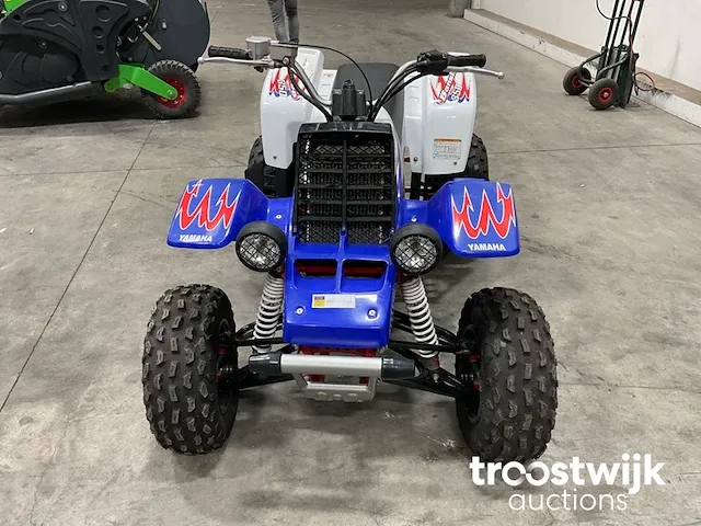 Quad - afbeelding 2 van  11