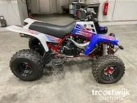 Quad - afbeelding 4 van  11