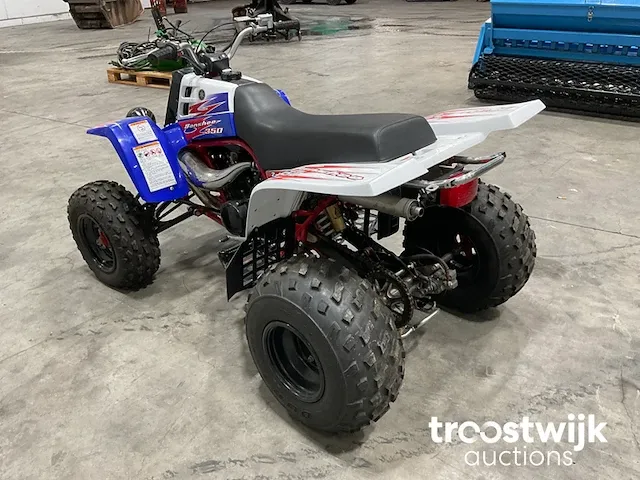 Quad - afbeelding 7 van  11