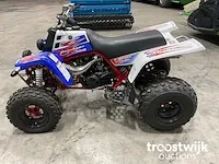 Quad - afbeelding 8 van  11