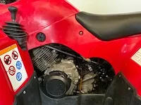 Quad - afbeelding 8 van  18