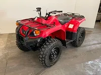 Quad - afbeelding 1 van  18