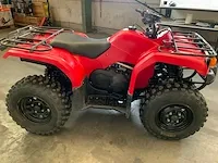 Quad - afbeelding 13 van  18
