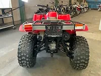 Quad - afbeelding 15 van  18