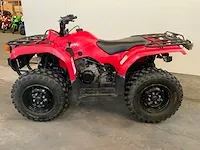 Quad - afbeelding 17 van  18
