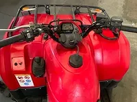 Quad - afbeelding 18 van  18