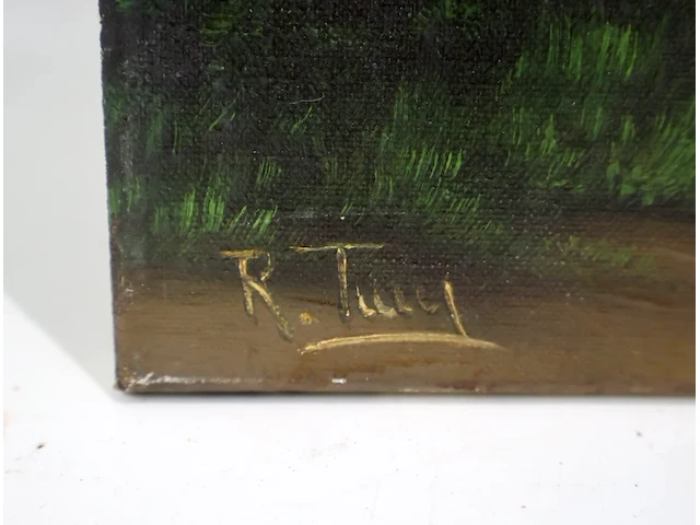 R. tilly - afbeelding 3 van  5