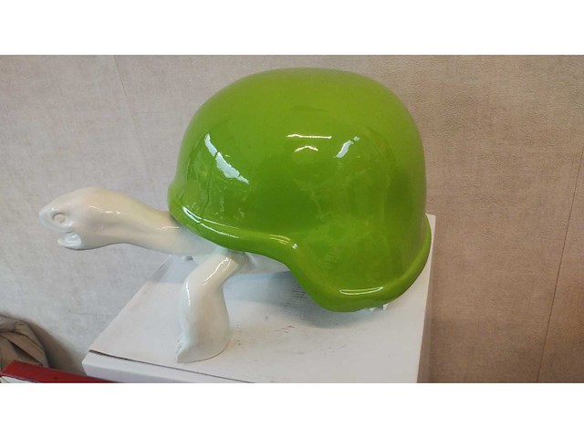 Racing schildpad - afbeelding 2 van  3