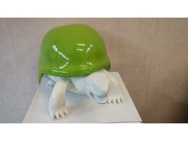 Racing schildpad - afbeelding 3 van  3