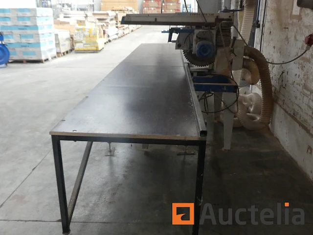 Radiaalzaag met tafel omga radial 700/7 di.500 - afbeelding 1 van  14