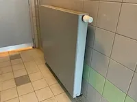 Radiatoren (5x) - afbeelding 1 van  2