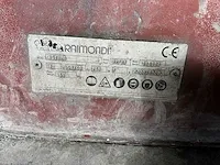 Raimondi mastino trilplaat - afbeelding 7 van  7