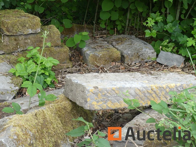 Rand van gerecupereerd hardsteen - afbeelding 3 van  10