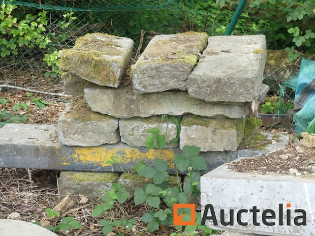 Rand van gerecupereerd hardsteen - afbeelding 6 van  10