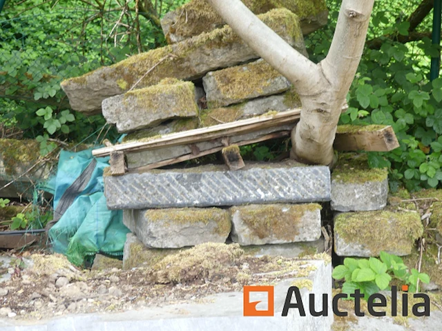 Rand van gerecupereerd hardsteen - afbeelding 10 van  10