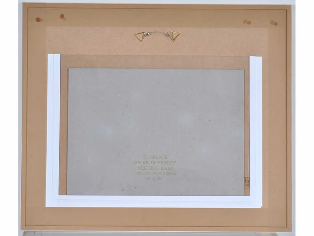 Raoul de keyser (deinze, 1930-2012) - certificaat - afbeelding 9 van  9