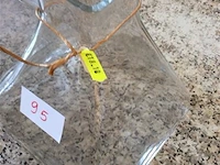 Rasteli 2items - afbeelding 2 van  2