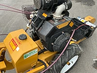 Rayco mini work-force stronkenfrees - afbeelding 12 van  13