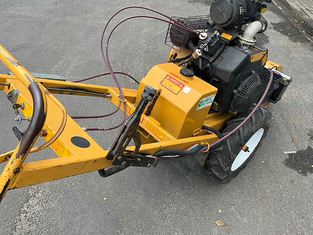 Rayco mini work-force stronkenfrees - afbeelding 6 van  13