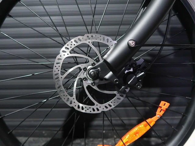 Rayvolt clubman zwart 36v10ah accu demo/test - afbeelding 12 van  20