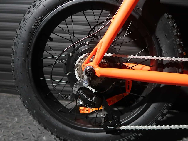Rayvolt ringo oranje 36v16ah accu - afbeelding 11 van  17