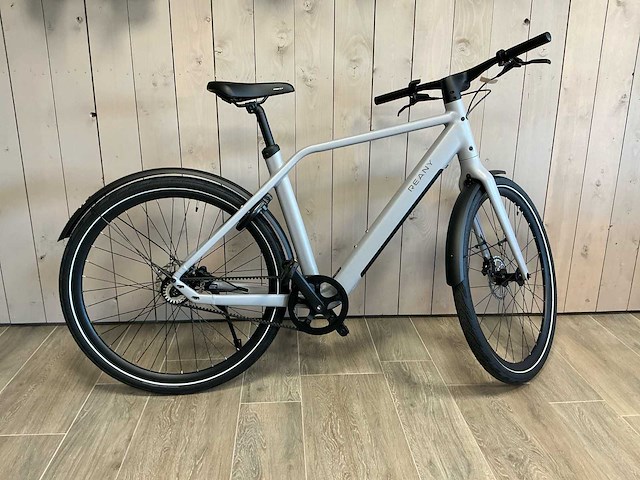 Reany n1 elektrische fiets (ongebruikt!) - afbeelding 2 van  6