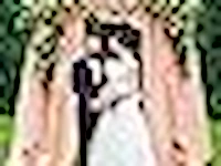 Rechthoekige ballonboogset - afbeelding 2 van  4