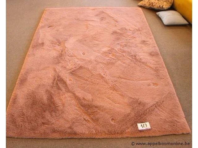 Rechthoekige tapijt oeko tex 160x230 - afbeelding 1 van  2