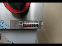 Redfox fe90/80 17g dubbele friteuse op gas - afbeelding 9 van  12