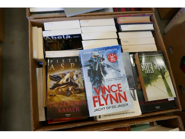Reeks boeken fictie - afbeelding 3 van  4