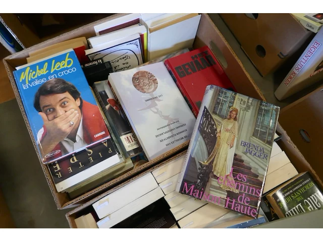 Reeks boeken fictie - afbeelding 4 van  4