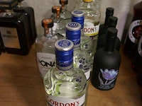 Reeks flessen gin met en zonder alcohol 12 stuks - afbeelding 1 van  4
