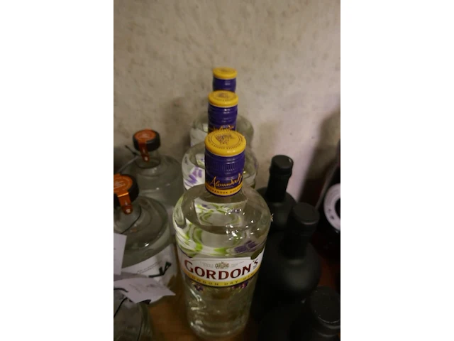 Reeks flessen gin met en zonder alcohol 12 stuks - afbeelding 4 van  4