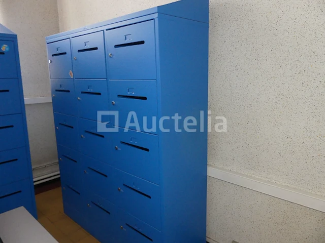 Ref:c079 - lockerkast met 12 deuren - afbeelding 4 van  5