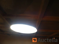 Ref:ec2.13 - gesloten container 16 m³ eng - afbeelding 2 van  9
