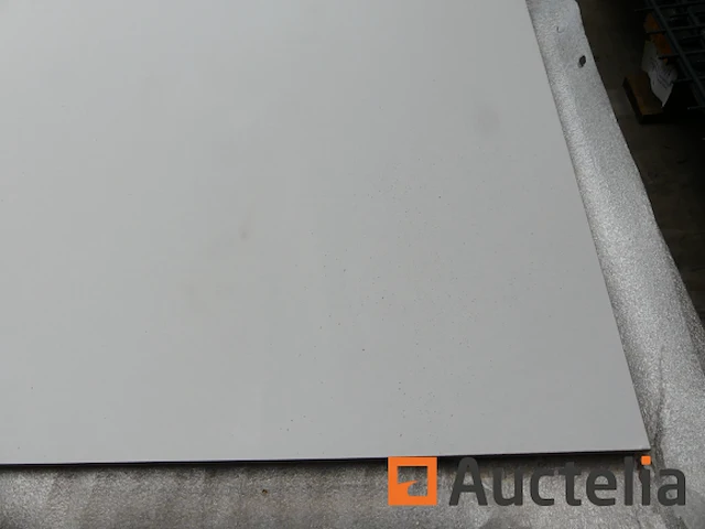 Ref:n025429, n025514 - gevelpanelen pictura gerectificeerde rand - afbeelding 1 van  6