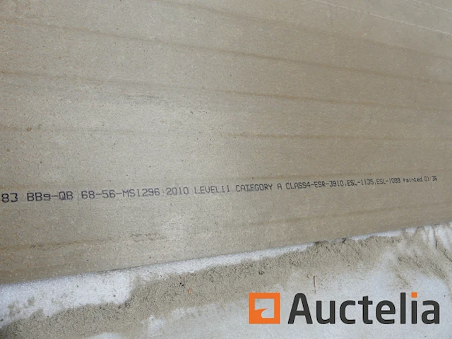 Ref:n025429, n025514 - gevelpanelen pictura gerectificeerde rand - afbeelding 2 van  6