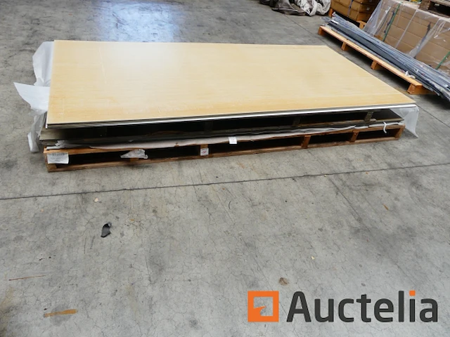 Ref:n025429, n025514 - gevelpanelen pictura gerectificeerde rand - afbeelding 3 van  6