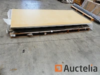 Ref:n025429, n025514 - gevelpanelen pictura gerectificeerde rand - afbeelding 3 van  6