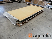 Ref:n025429, n025514 - gevelpanelen pictura gerectificeerde rand - afbeelding 5 van  6