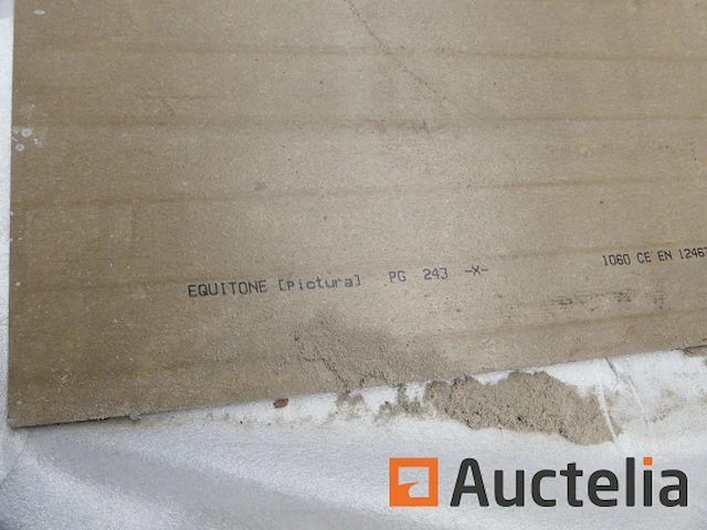 Ref:n025429, n025514 - gevelpanelen pictura gerectificeerde rand - afbeelding 6 van  6