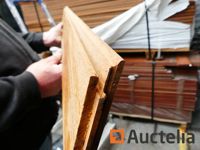 Ref:num inv : 45 - 176 exotische parketplaten - afbeelding 3 van  8