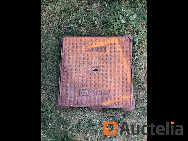 Regenwater tank deksel - afbeelding 2 van  12