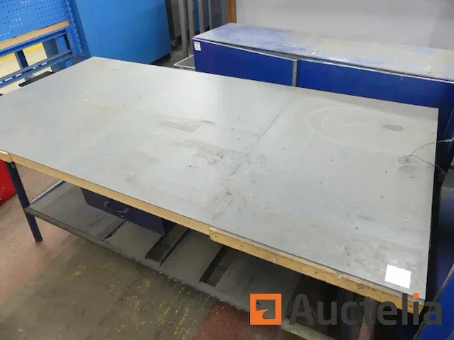 Rekken, werktafel, kledingkast 2 deuren - afbeelding 13 van  23