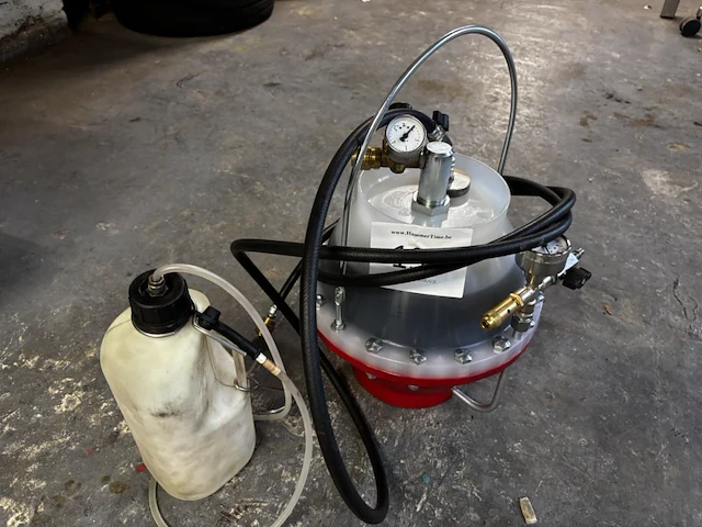 Remontluchter stierius - afbeelding 2 van  4