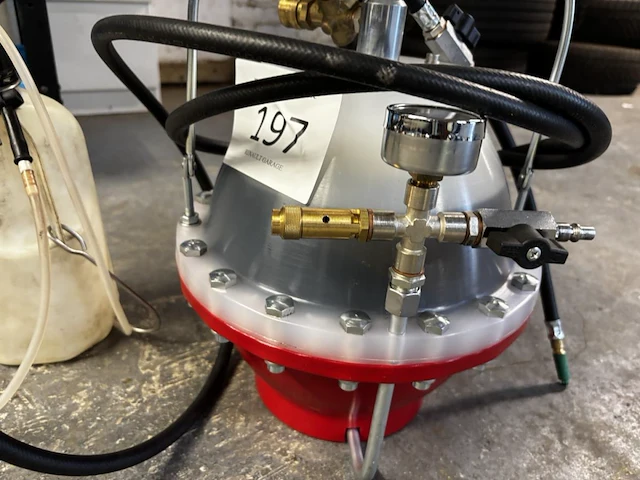 Remontluchter stierius - afbeelding 3 van  4